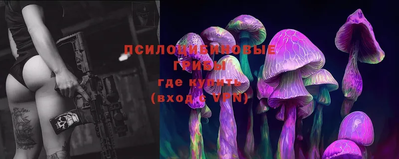 где купить   Канск  mega как зайти  Псилоцибиновые грибы Cubensis 